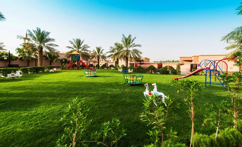  بودل النخيل
